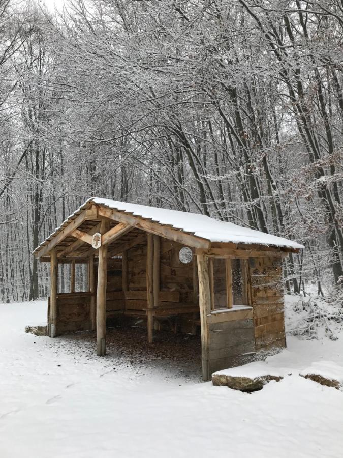 Ferienwohnung Auszeit Am Kurpark Bad Berka - Balkon - Ruhige Lage- Gratis Parkplatz & Wlan Kültér fotó