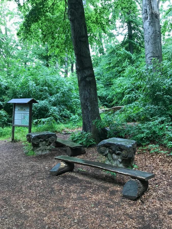 Ferienwohnung Auszeit Am Kurpark Bad Berka - Balkon - Ruhige Lage- Gratis Parkplatz & Wlan Kültér fotó